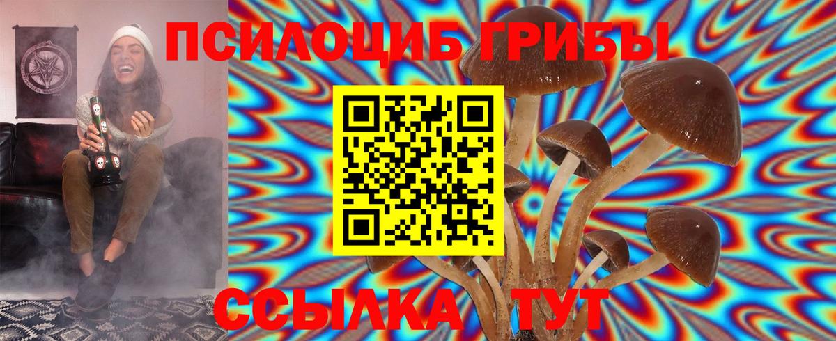 Псилоцибиновые грибы прущие грибы  Галлюциногенные грибы Psilocybine cubensis  наркотики  Можайск  Вход с VPN 