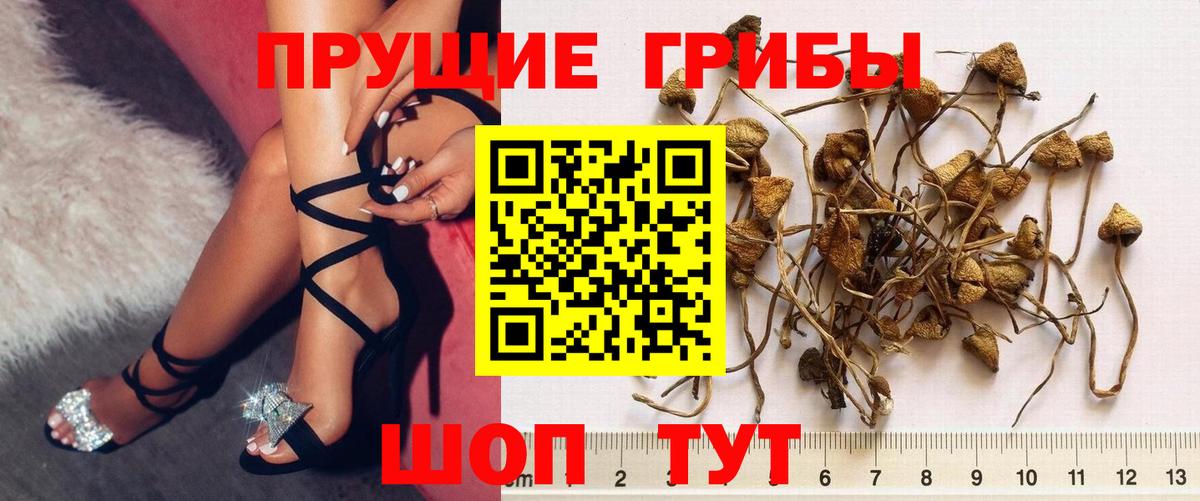 Псилоцибиновые грибы ЛСД Можайск
