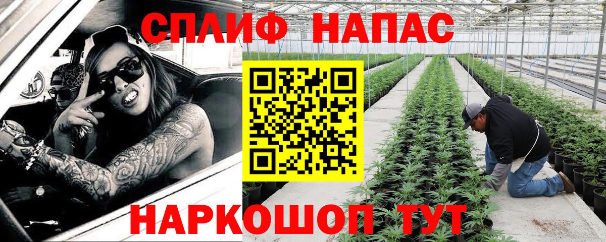 Бошки Шишки THC 21%  Конопля план  Можайск  Вход с VPN  Конопля Ganja  Марихуана ГИДРОПОН 